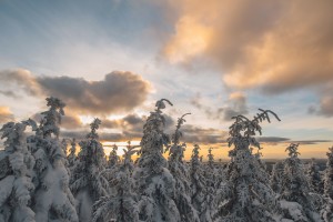 Winter sky